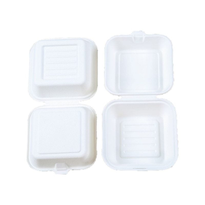 Biodegradable Paper Container Leabon Intl