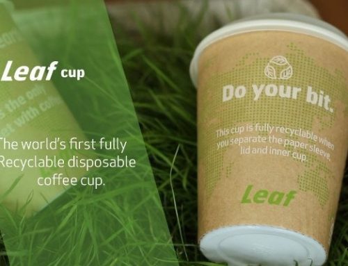 Why Can’t You Recycle Paper Coffee Cups