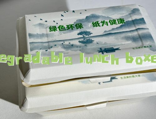 Degradable lunch paper box support custom size and printing. #eabonpack #lunchbox#degradable