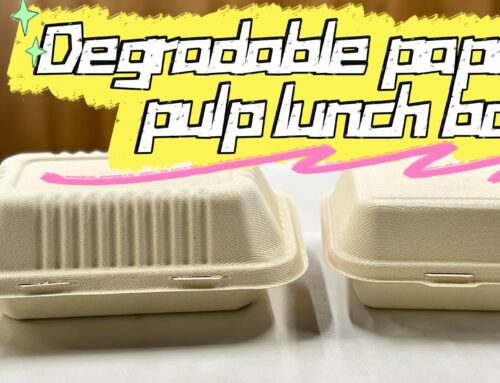 Biodegradable bagasse paper pulp rectangle clashell lunch box. #leabonpack#biodegradable#unchbox