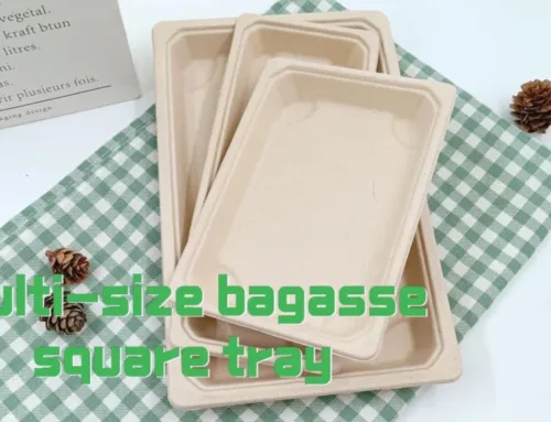Multi-size bagasse square tray with pet lid #leabonpack #bagassetray
