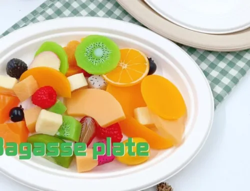 Bagasse plate can custom size for restaurant.#leabonapck #bagasseplate