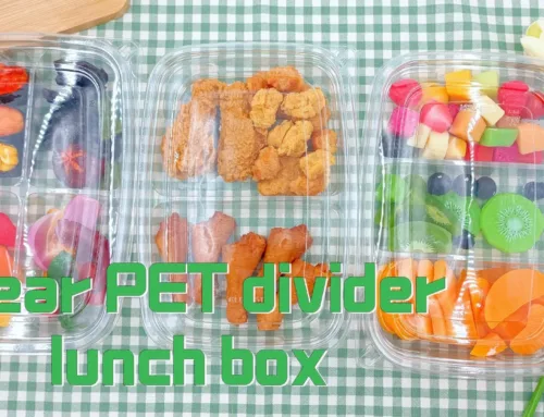 Clear Pet divider lunch box with 4 compartments. #leabonpack #petbox