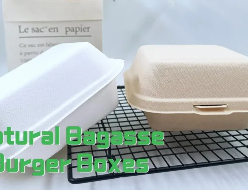 Natural Sugarcane Fiber Burger Boxes, designed to elevate your brand’s recognition! #leabonpack