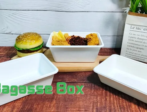 Upgrade your food packaging with our bagasse rectangular box.#leabonpack #Bagasse #takeaway