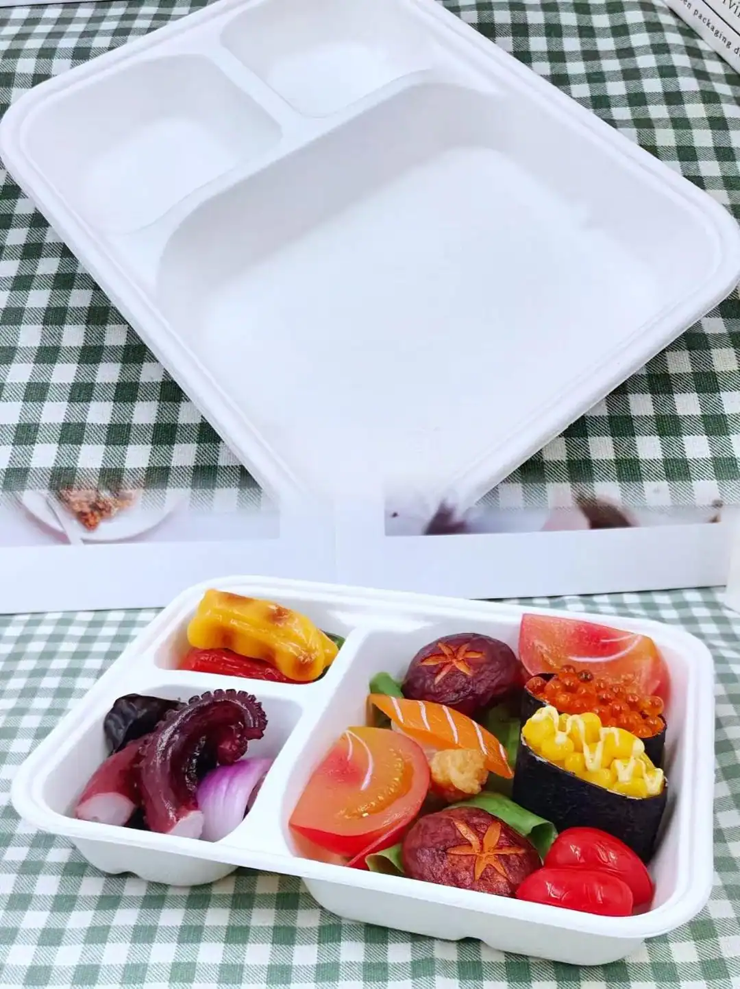 bagasse compartment tray